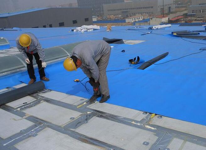 青岛防水公司胶州钢结构厂房屋面防水施工